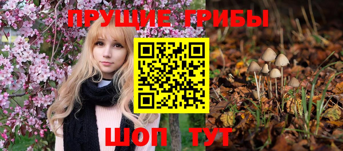 Псилоцибиновые грибы MAGIC MUSHROOMS Егорьевск