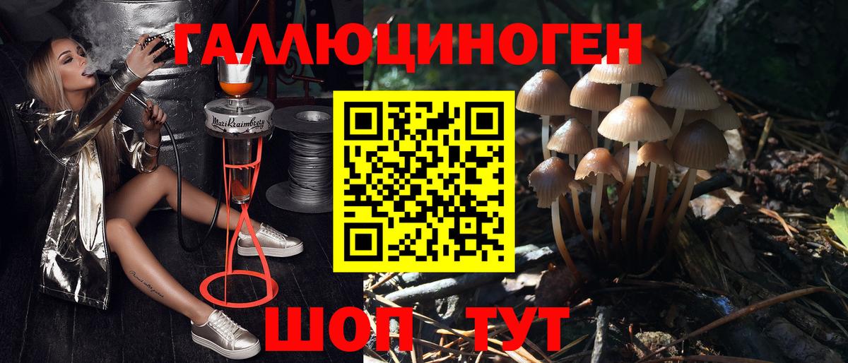 Псилоцибиновые грибы Magic Shrooms  Псилоцибиновые грибы прущие грибы  Вход с VPN  Егорьевск 